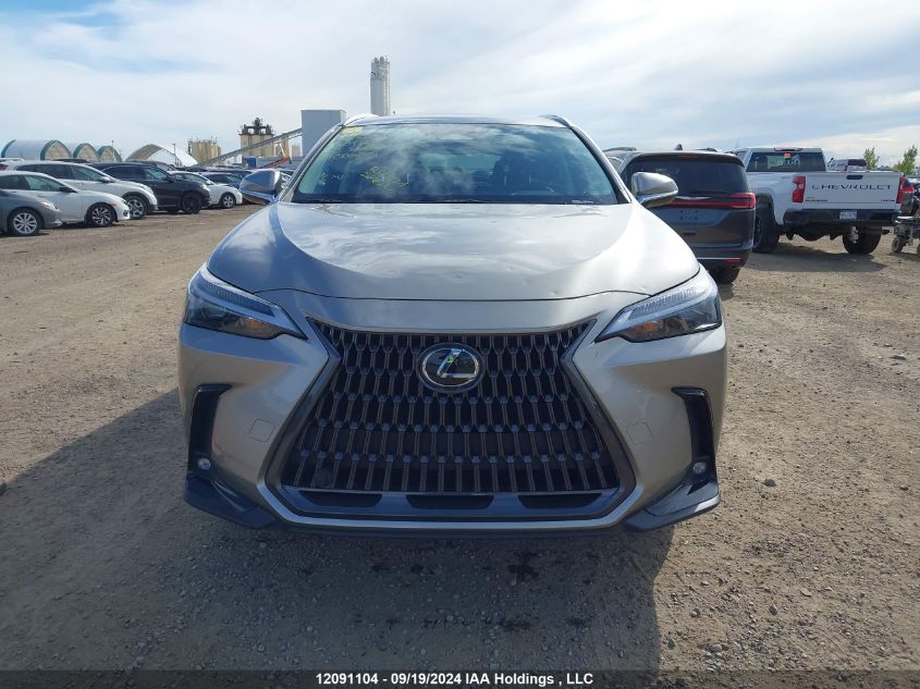 2023 Lexus Nx 250 VIN: 2T2ADCEZ0PC003204 Lot: 12091104