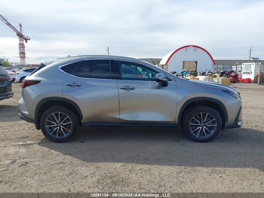 2023 Lexus Nx 250 VIN: 2T2ADCEZ0PC003204 Lot: 12091104