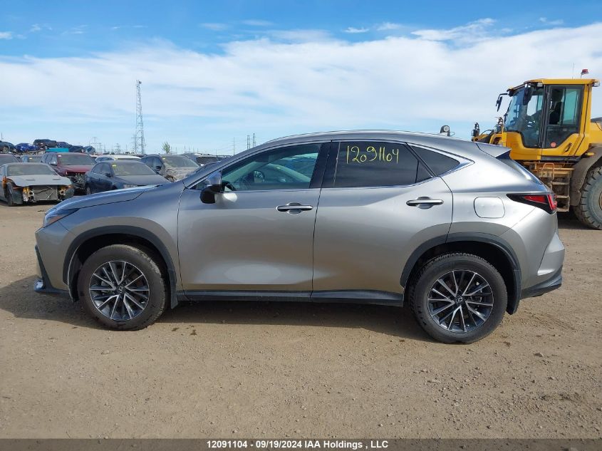 2023 Lexus Nx 250 VIN: 2T2ADCEZ0PC003204 Lot: 12091104