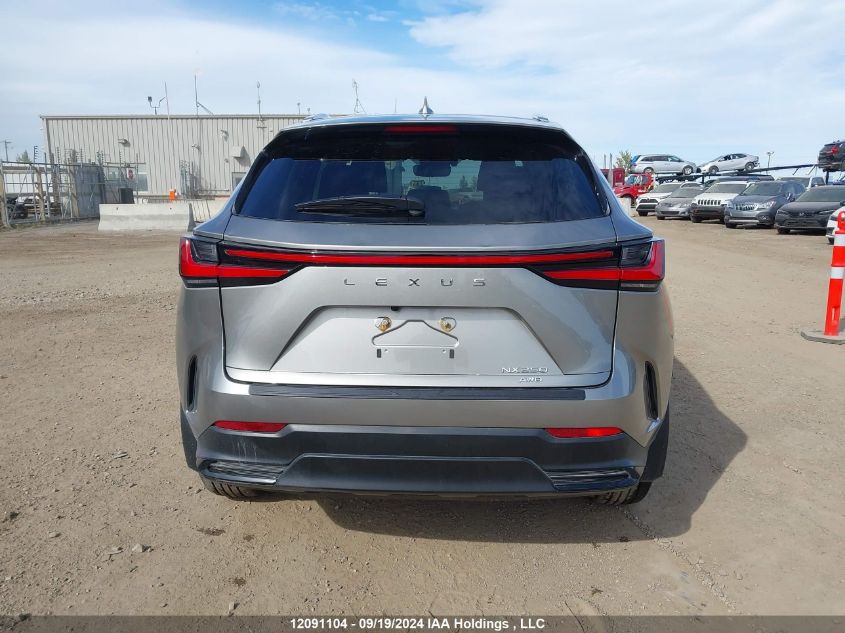 2023 Lexus Nx 250 VIN: 2T2ADCEZ0PC003204 Lot: 12091104