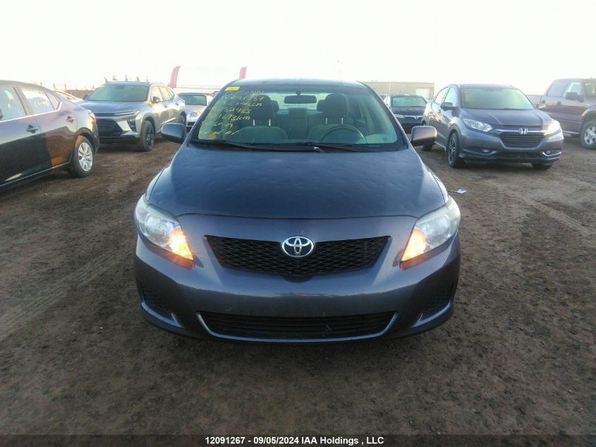 2009 Toyota Corolla S/Le/Xle VIN: 2T1BU40E29C082462 Lot: 12091267