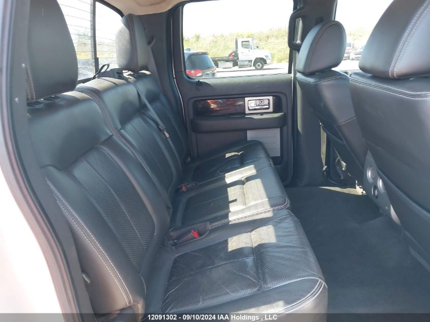 2010 Ford F-150 VIN: 1FTFW1EV1AFC00970 Lot: 12091302