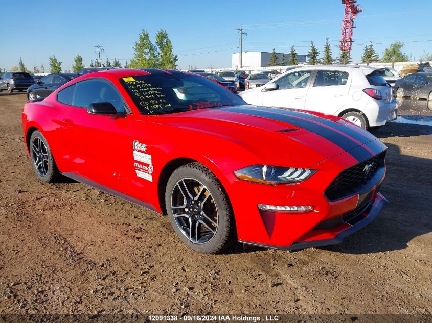 1FA6P8TH5K5193702 2019 FORD MUSTANG - Image 1