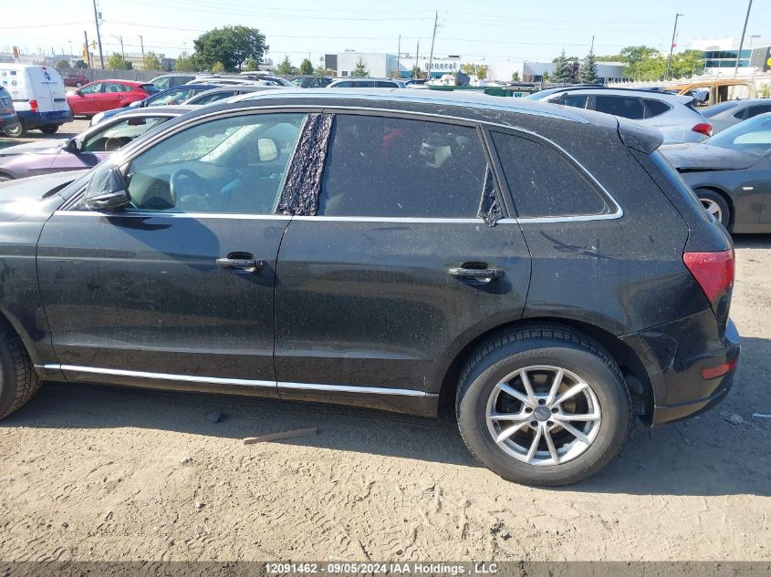 2013 Audi Q5 VIN: WA1LFCFP5DA101563 Lot: 12091462