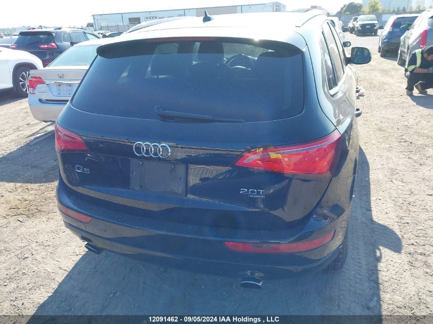 2013 Audi Q5 VIN: WA1LFCFP5DA101563 Lot: 12091462