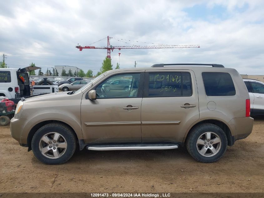 5FNYF48699B501422 2009 Honda Pilot