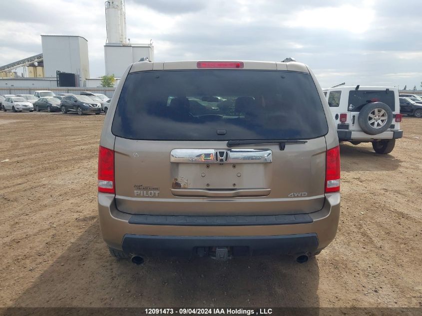 5FNYF48699B501422 2009 Honda Pilot