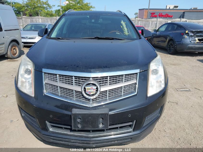 2011 Cadillac Srx VIN: 3GYFNDEY6BS551993 Lot: 12091658