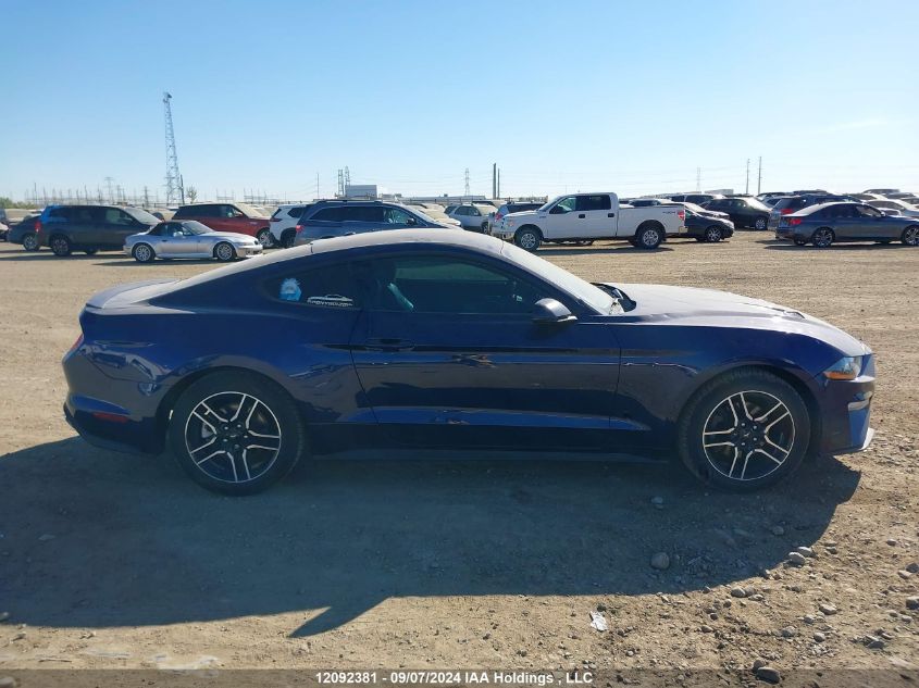 2019 Ford Mustang VIN: 1FA6P8TH4K5115797 Lot: 12092381