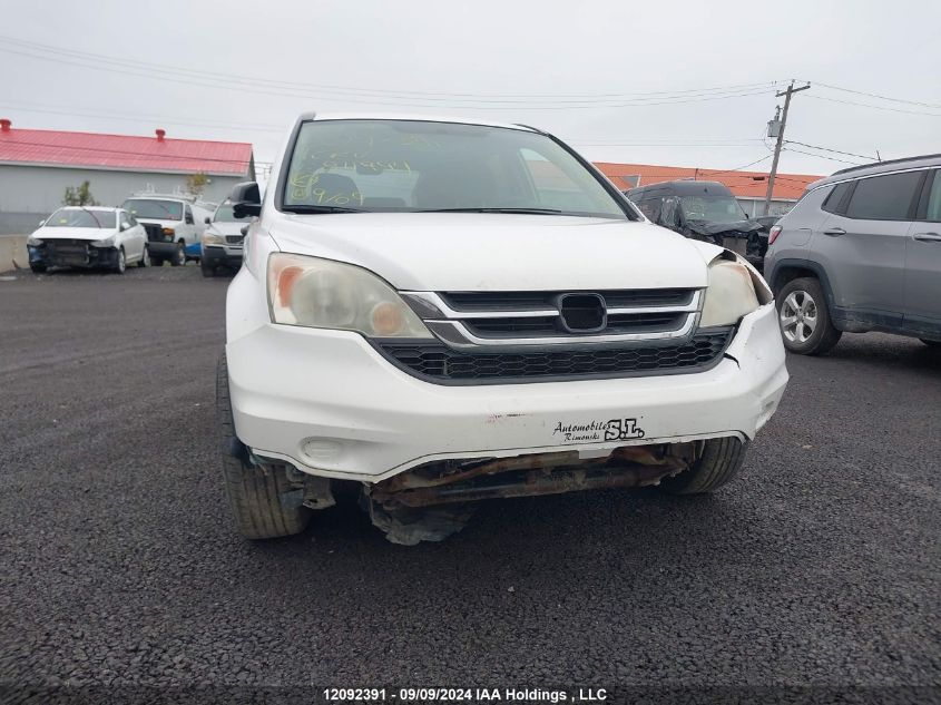 2011 Honda Cr-V Lx VIN: 5J6RE4H31BL811994 Lot: 12092391