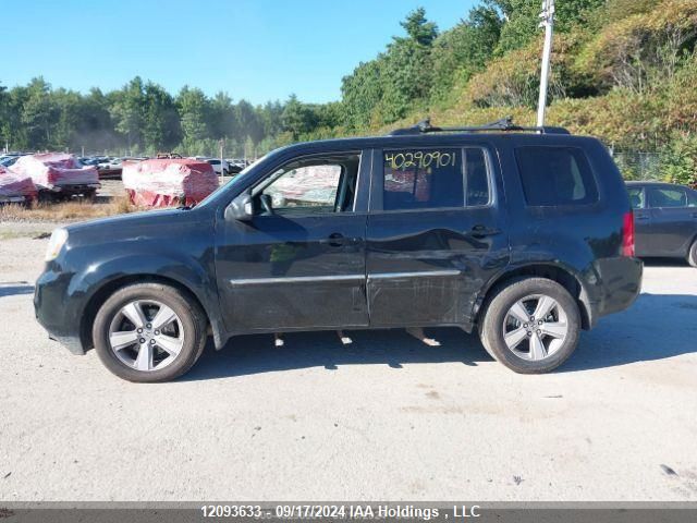 2015 Honda Pilot VIN: 5FNYF4H91FB501095 Lot: 12093633