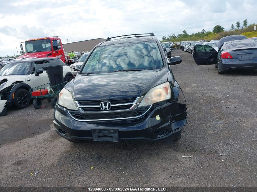 2010 Honda Cr-V VIN: 5J6RE4H75AL810753 Lot: 12094060