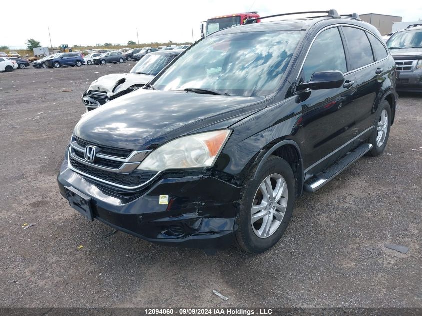 2010 Honda Cr-V VIN: 5J6RE4H75AL810753 Lot: 12094060