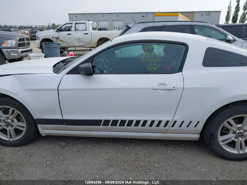 2014 Ford Mustang VIN: 1ZVBP8AM5E5317607 Lot: 12094298