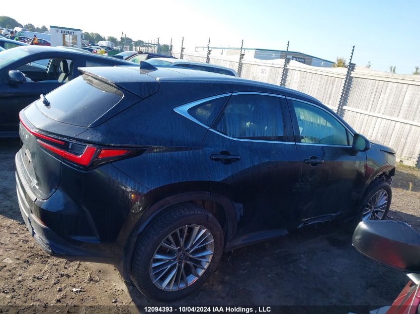 2024 Lexus Nx 350 VIN: 2T2GGCEZ6RC053481 Lot: 12094393