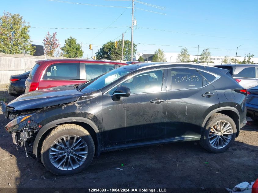 2024 Lexus Nx 350 VIN: 2T2GGCEZ6RC053481 Lot: 12094393