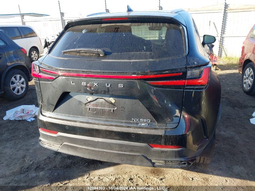 2024 Lexus Nx 350 VIN: 2T2GGCEZ6RC053481 Lot: 12094393