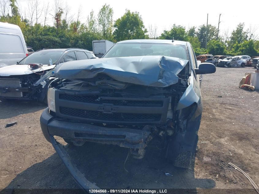 2009 Chevrolet Silverado 1500 VIN: 1GCEC14X99Z251957 Lot: 12094568