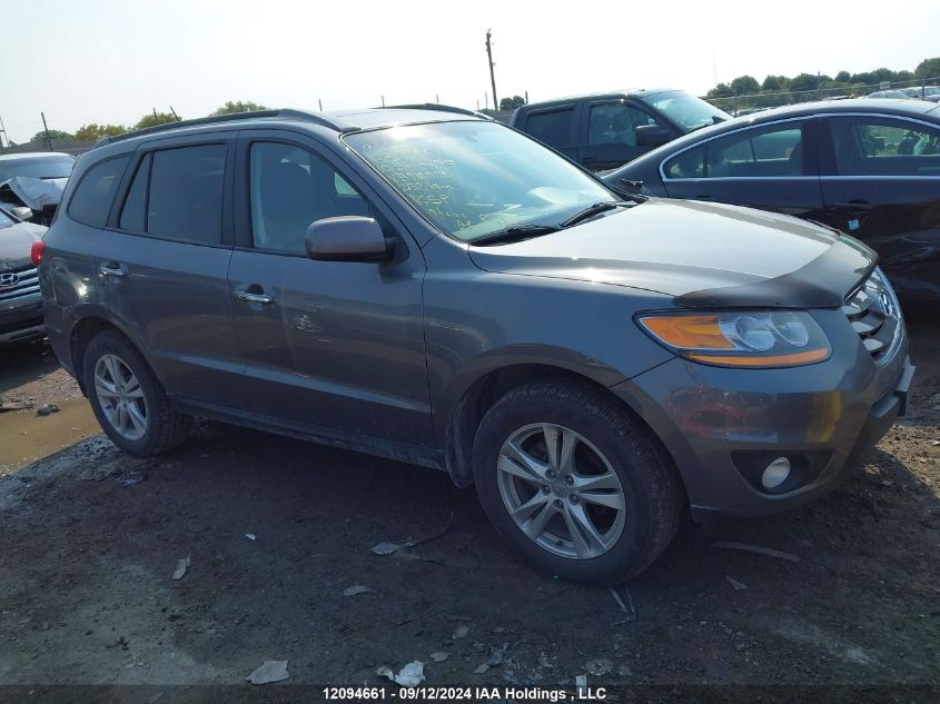 2010 Hyundai Santa Fe Se VIN: 5NMSHDAG4AH396973 Lot: 12094661