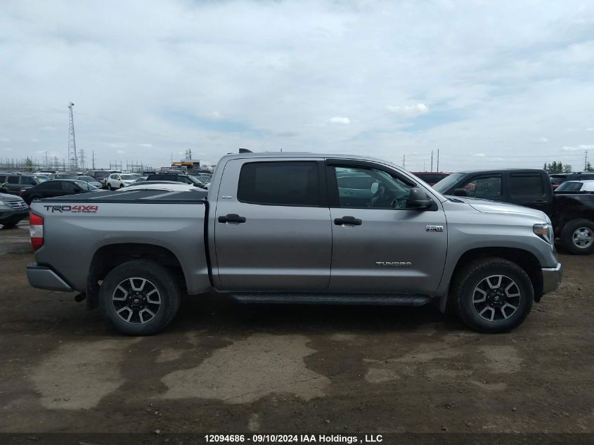 2020 Toyota Tundra Crewmax Sr5/Crewmax Trd Pro VIN: 5TFDY5F16LX939074 Lot: 12094686