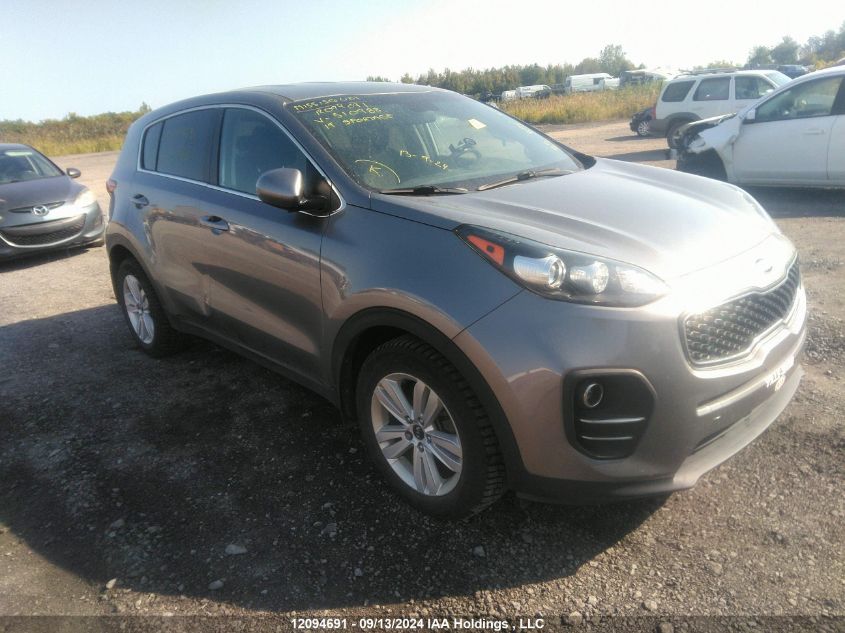 2019 Kia Sportage VIN: KNDPM3AC6K7510988 Lot: 12094691