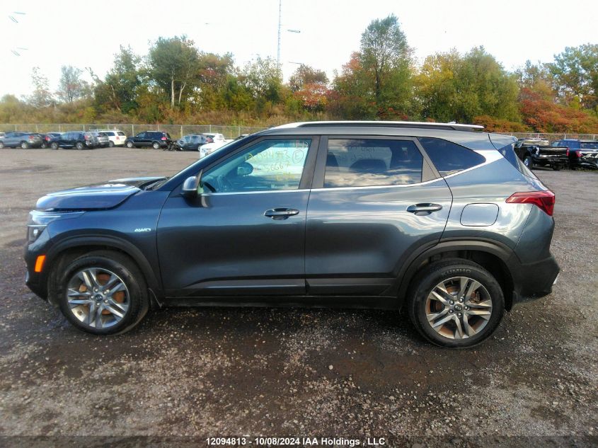 2021 Kia Seltos S VIN: KNDEUCAA0M7156667 Lot: 12094813