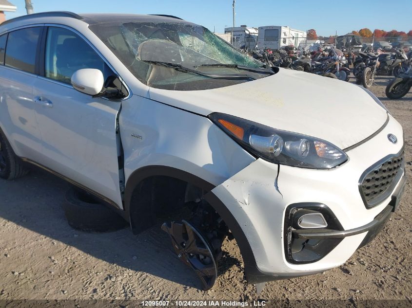 2022 Kia Sportage VIN: KNDPNCAC3N7004598 Lot: 12095007