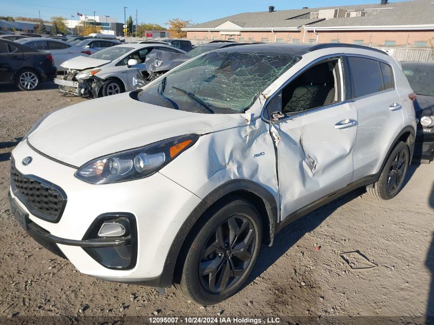 2022 Kia Sportage VIN: KNDPNCAC3N7004598 Lot: 12095007