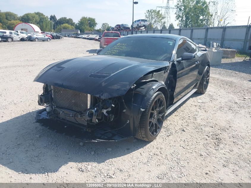 2019 Ford Mustang VIN: 1FA6P8TH0K5110869 Lot: 12095052