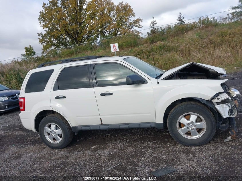 2011 Ford Escape Xlt VIN: 1FMCU0DG2BKC20008 Lot: 12095077