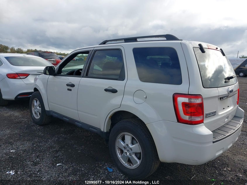 2011 Ford Escape Xlt VIN: 1FMCU0DG2BKC20008 Lot: 12095077