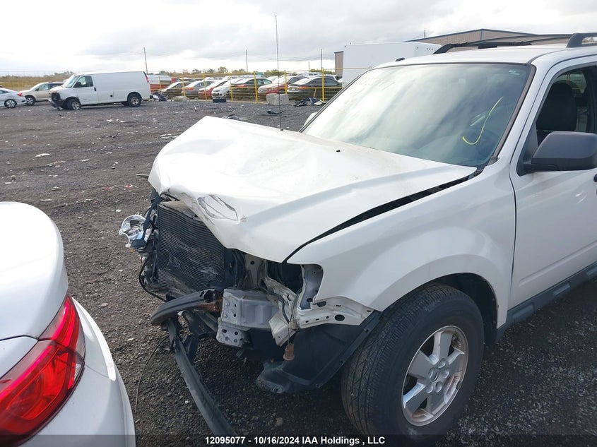 2011 Ford Escape Xlt VIN: 1FMCU0DG2BKC20008 Lot: 12095077
