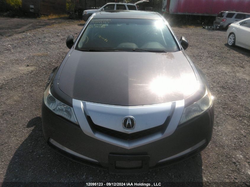 2009 Acura Tl VIN: 19UUA86579A801811 Lot: 12095123