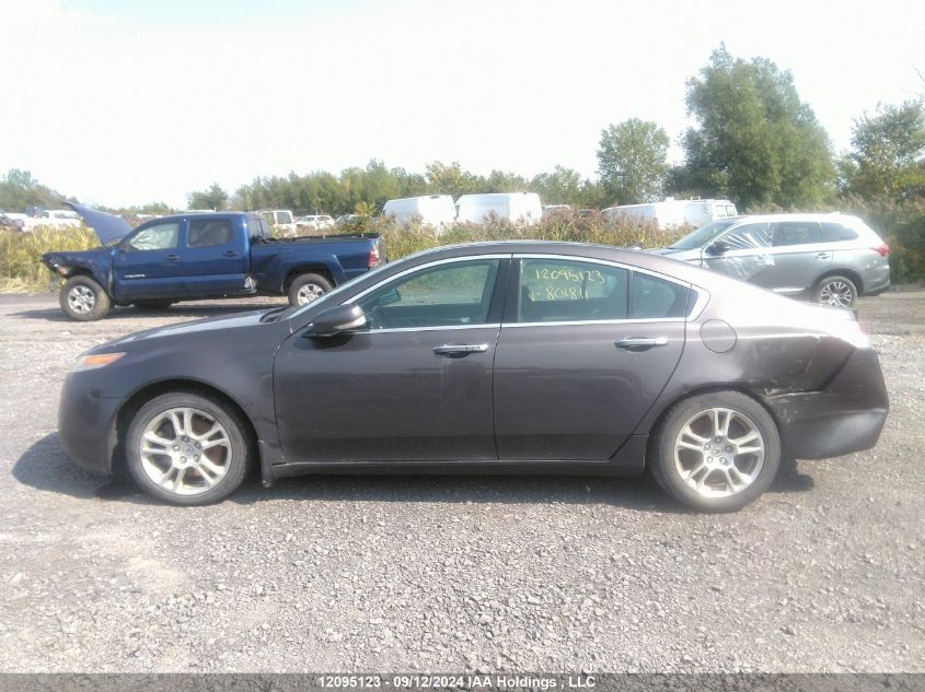 2009 Acura Tl VIN: 19UUA86579A801811 Lot: 12095123