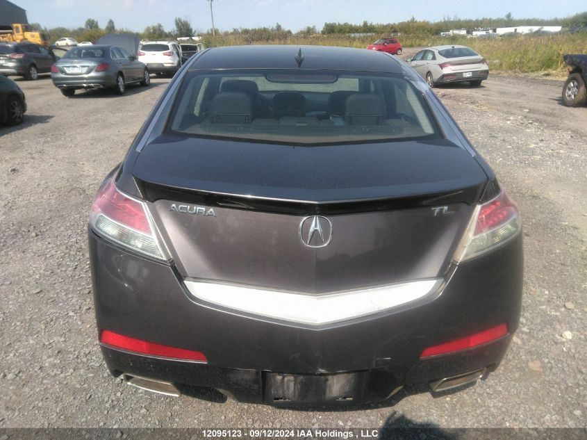 2009 Acura Tl VIN: 19UUA86579A801811 Lot: 12095123