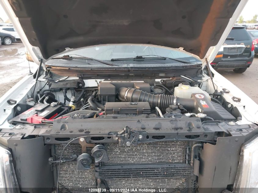 2012 Ford F-150 Harley-Davidson VIN: 1FTFW1E67CFC64829 Lot: 12095739