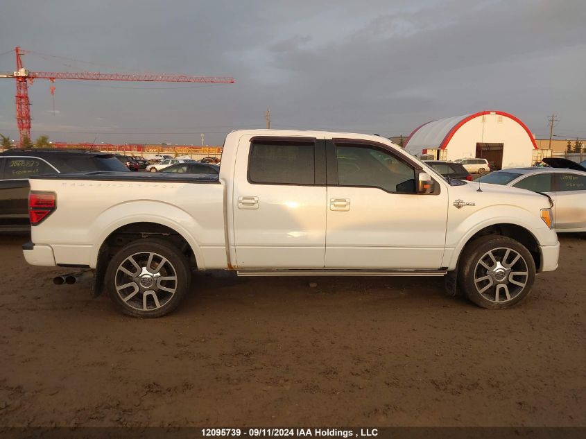 2012 Ford F-150 Harley-Davidson VIN: 1FTFW1E67CFC64829 Lot: 12095739