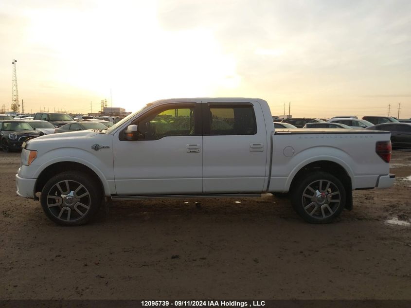 2012 Ford F-150 Harley-Davidson VIN: 1FTFW1E67CFC64829 Lot: 12095739