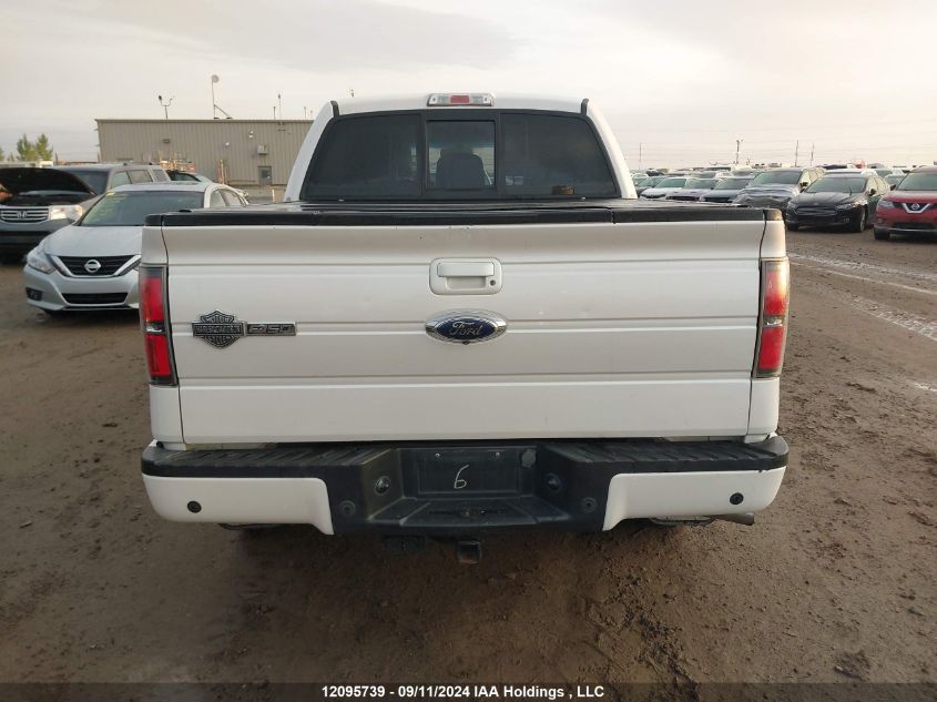 2012 Ford F-150 Harley-Davidson VIN: 1FTFW1E67CFC64829 Lot: 12095739