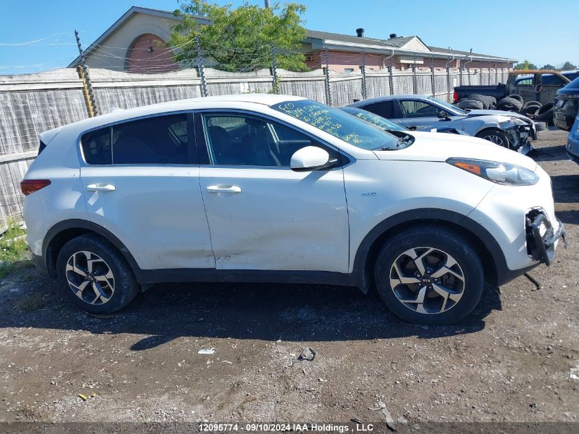 2020 Kia Sportage VIN: KNDPMCAC3L7691436 Lot: 12095774