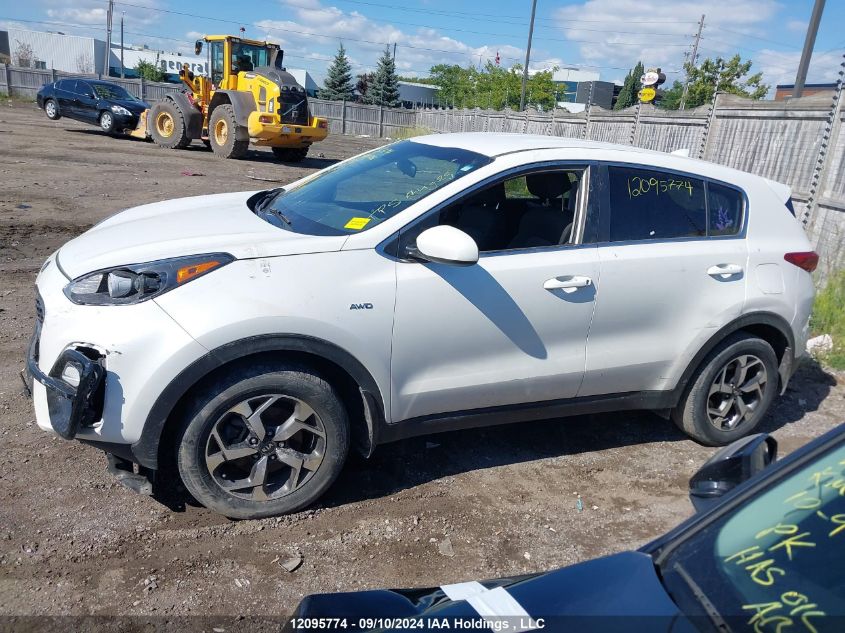 2020 Kia Sportage VIN: KNDPMCAC3L7691436 Lot: 12095774