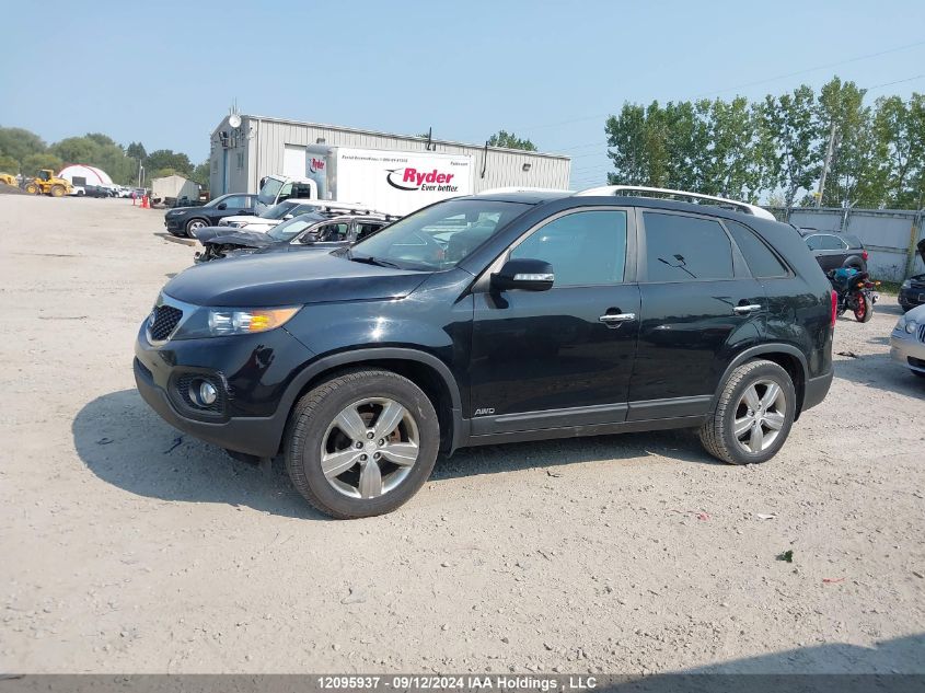 5XYKUDA21DG344795 2013 Kia Sorento