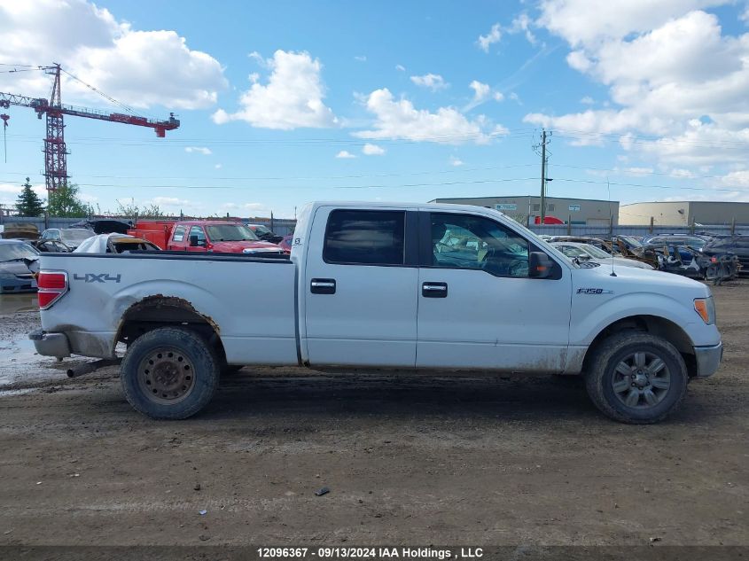 2009 Ford F-150 VIN: 1FTPW14VX9FB07589 Lot: 12096367