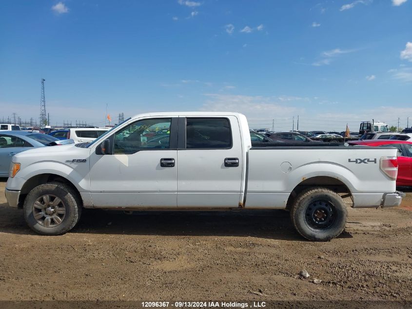 2009 Ford F-150 VIN: 1FTPW14VX9FB07589 Lot: 12096367