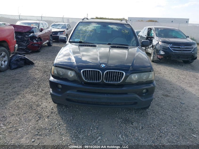 2002 BMW X5 Series VIN: 5UXFA53552LH80446 Lot: 12096625