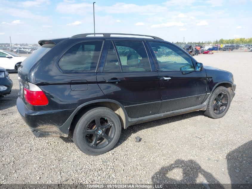 2002 BMW X5 Series VIN: 5UXFA53552LH80446 Lot: 12096625