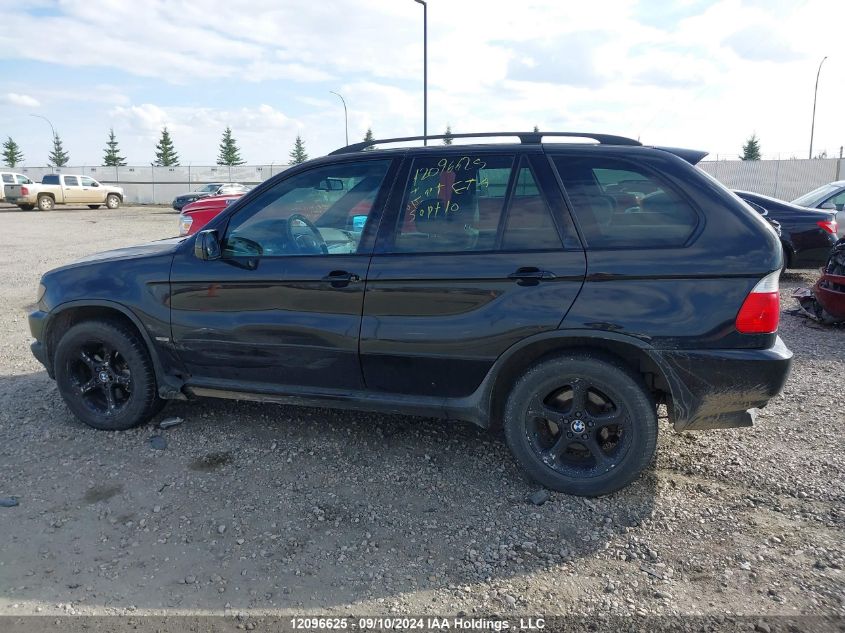 2002 BMW X5 Series VIN: 5UXFA53552LH80446 Lot: 12096625