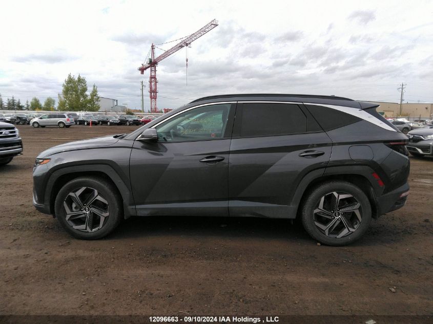 2022 Hyundai Tucson Luxury VIN: KM8JCCA14NU078247 Lot: 12096663