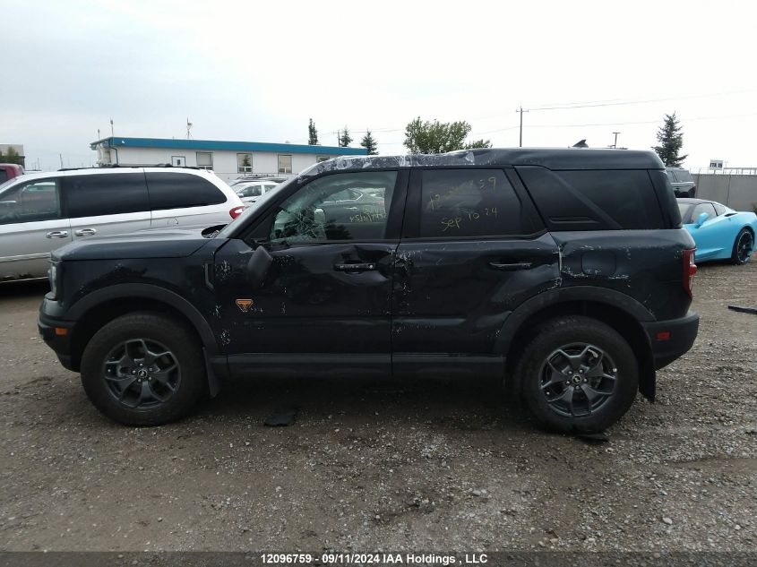 2021 Ford Bronco Sport Badlands VIN: 3FMCR9D90MRB29065 Lot: 12096759