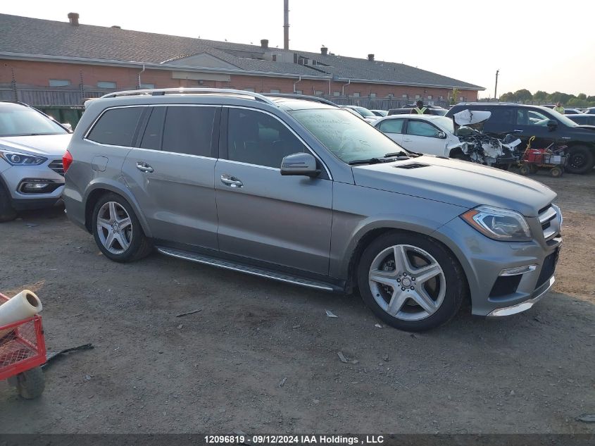 2014 Mercedes-Benz Gl-Class VIN: 4JGDF2EE7EA413420 Lot: 12096819